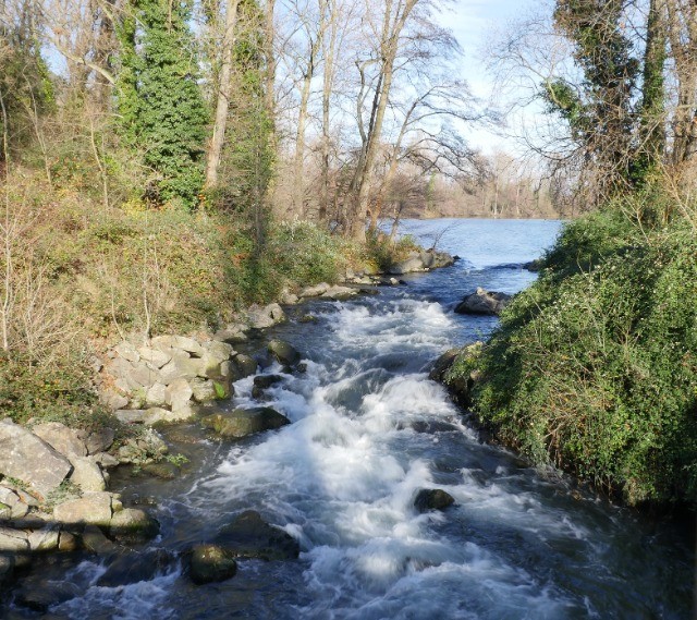 au bord du Rhône... 259zuo
