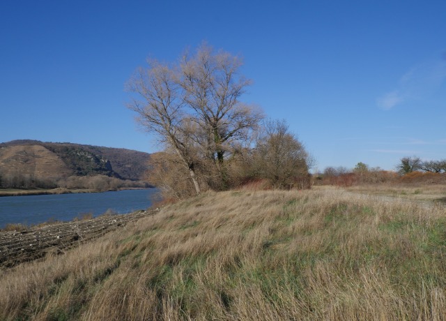 au bord du Rhône... 25i4kk