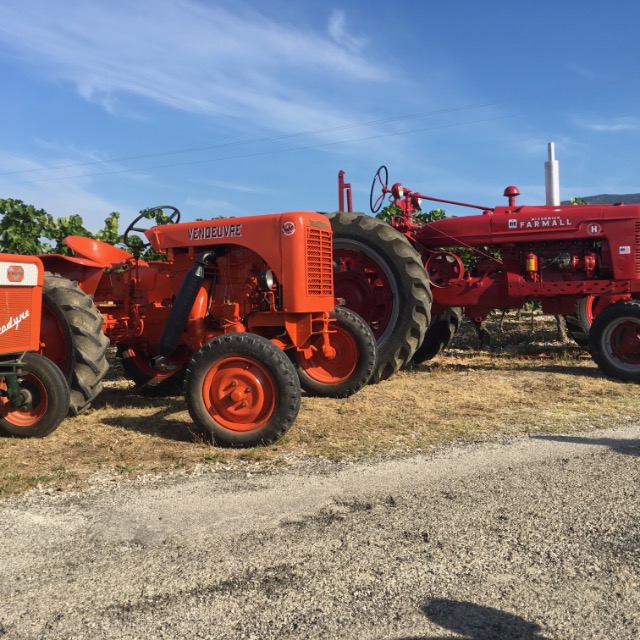 84 BEDOUIN les tracteurs anciens en action 1er Sept 2019 011yse