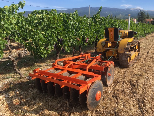 84 BEDOUIN les tracteurs anciens en action 1er Sept 2019 01a6eh