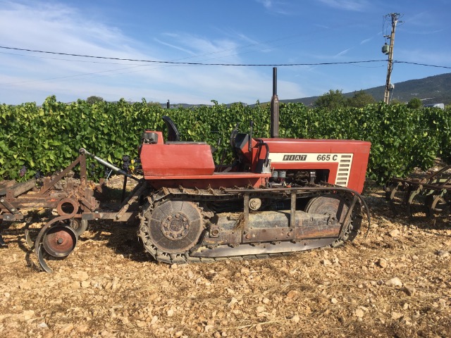 84 BEDOUIN les tracteurs anciens en action 1er Sept 2019 01ea2s