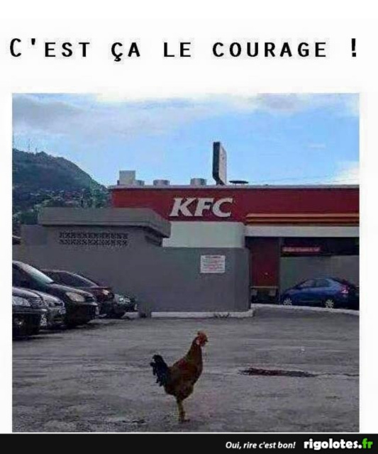 HUMOUR EN VRAC - Page 32 22gom3