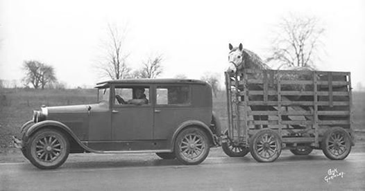 Le transport des animaux....tous à vos bétaillères ! - Page 7 26d9cm