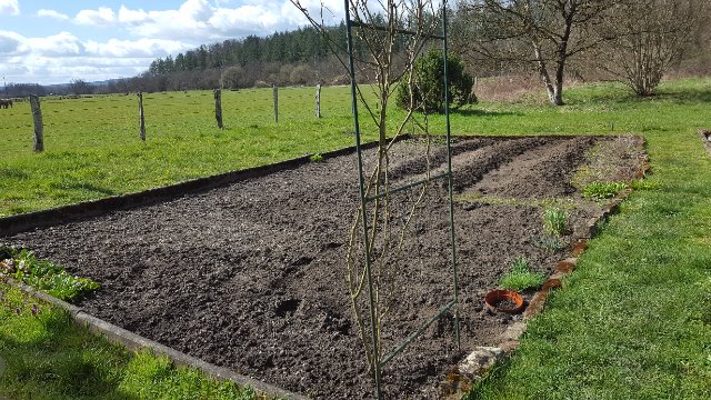 jardin 2021 27vbgf