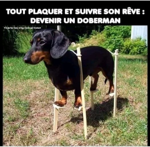 HUMOUR EN VRAC - Page 11 119vix