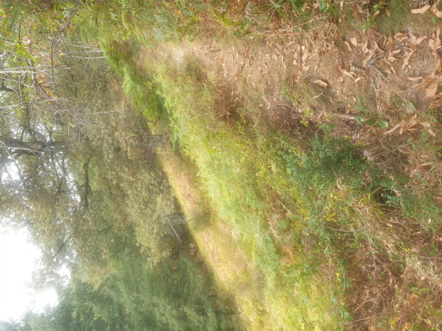 https://si3.photorapide.com/invites/photos/2023/08/31q9u3dz.jpg