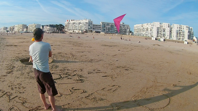 Vers l'estuaire de la Loire (Pornichet/LaBaule, St Brévin...) au fil du temps... - Page 20 19m6k958