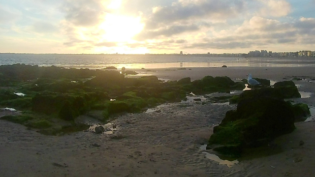 Vers l'estuaire de la Loire (Pornichet/LaBaule, St Brévin...) au fil du temps... - Page 20 200wo1e8