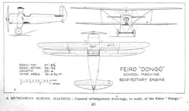 Feiro Dongó, un bel oiseau de Lajos Rotter 18tt9w0h