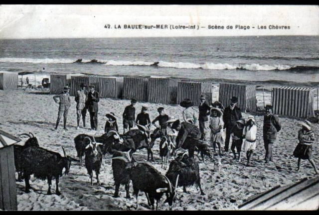 Vers l'estuaire de la Loire (Pornichet/LaBaule, St Brévin...) au fil du temps... - Page 24 06yixtr0